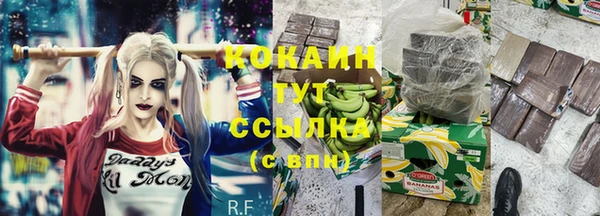 амф Няндома