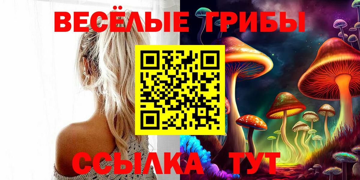 Псилоцибиновые грибы Cubensis Моздок
