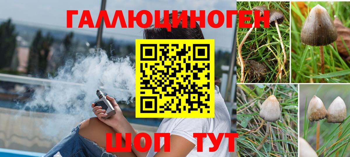 Моздок  Псилоцибиновые грибы Magic Shrooms  Псилоцибиновые грибы прущие грибы  Вход с VPN 
